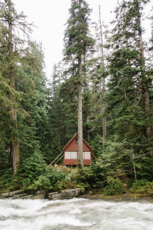 Cabin in the Woods