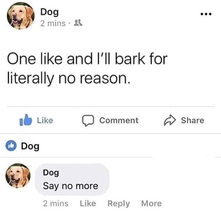 browsedankmemes:  I’ll give many likes via /r/wholesomememes http://bit.ly/2FV7ijp