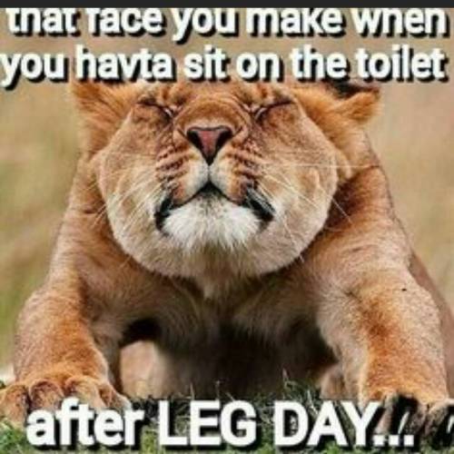 Yes sir! Lol! Time to use the foam roller and do some cardio! #fitness #goals #sorelegs #soreass #fo