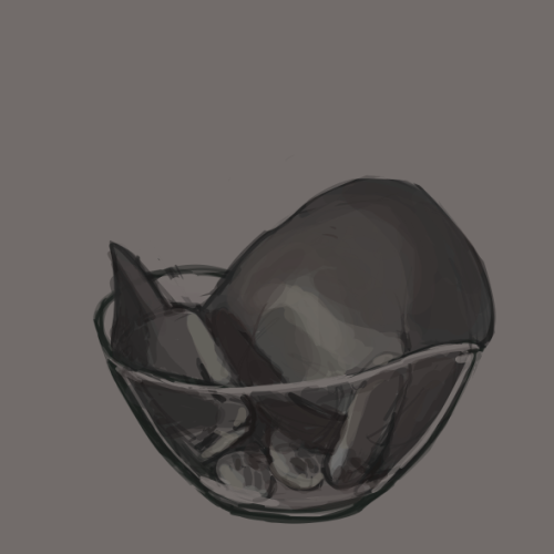 intense-memeroni: bears-official: csticcoart: doodled some cats laying in glass bowls as practice fo