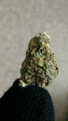 kick-push-twist-kush:  Dank nug