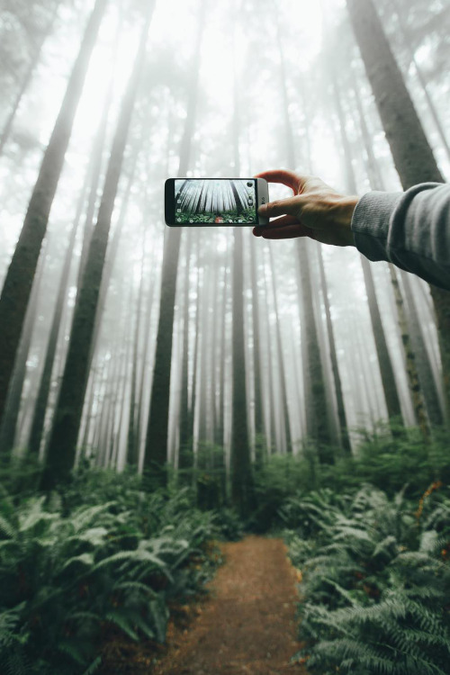 banshy:  Untitled // Dylan Furst 