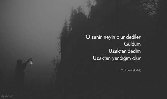 siyahbey:- Mehmet Yunus Aytek
