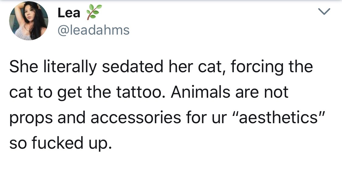 wtf