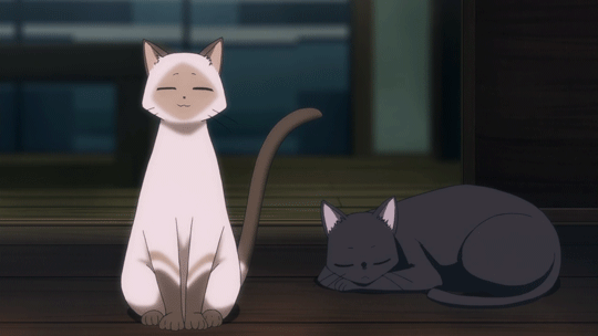Featured image of post Flying Witch Anime Cat Chito is makoto s cat and familiar