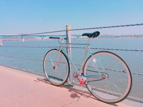 thebicycletree:#✨ _ 아 날씨 굿 오늘은 맞바람도 반갑네 _ #쫄깃한허벅지#실시간#커피나한잔하고가야지 #마실#집앞이한강인건행운#숏불바#핑크#픽시 _ by ydk007