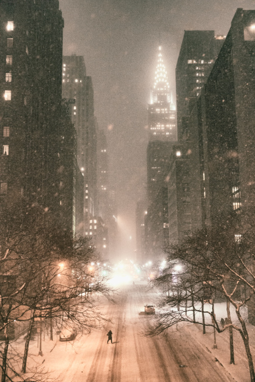 Porn photo didyouknowshaning:   New York City - Snowstorm