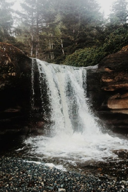 wolverxne:  Into the Ocean | by: { Melody Hansen }