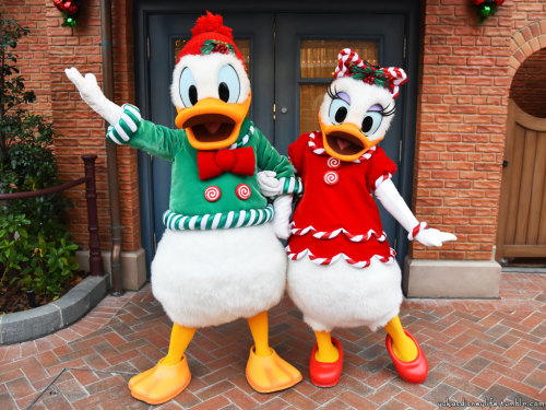 Shanghai Disneyland’s Christmas Mickey and friends meet and greeting.