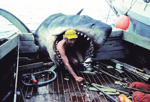  Behind the scenes of Jaws (1975) From the book JAWS: Memories From Martha’s Vineyard 