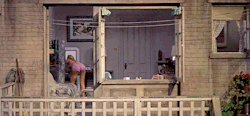 vintagegal:Rear Window (1954) dir. Alfred