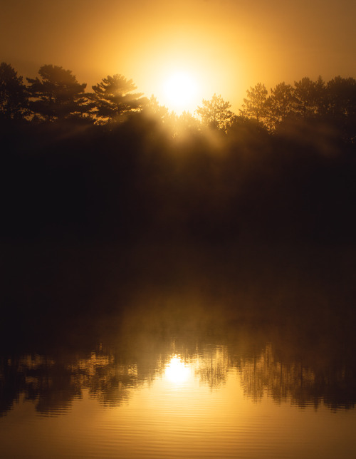 Sunrise - Mew Lake - Algonquin Provincial Park - Ontario, Canda