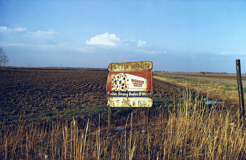 sesiondemadrugada:William Eggleston.