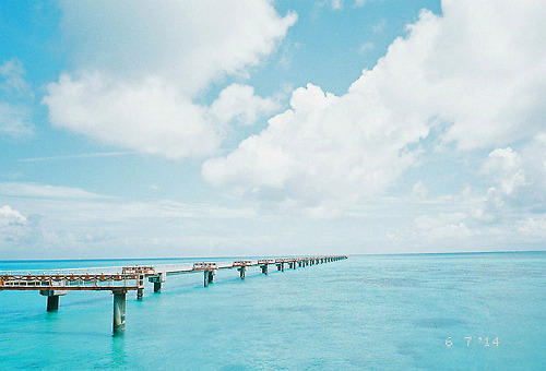 fuckyeahjapanandkorea:  Irabujima (by miki-re)