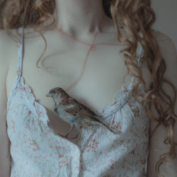 lucy-likes-to-dream:   	Lovers by Laura Makabresku