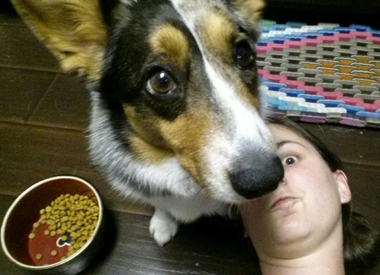 teslacardi:  Sometimes mom likes to hang out with me so i will eat my food. And then