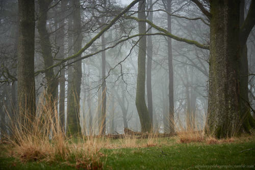Dartmoor National Park UK