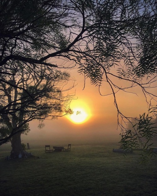 hoy ☀️ . . . #amanecer #sunrise #pueblogarzon #garzon #thecampo #campoair #campogarzon #countryside 
