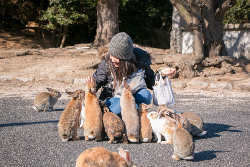 Ōkunoshima - an island in Japan filled with cute bunnies!