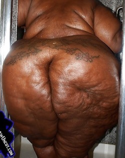 Fuckeinsteinn:  Http://Fuckeinsteinn.tumblr.com/Http://Bbwspreadpussies.tumblr.com/