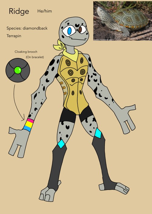 More ROTTMNT Ocs :)