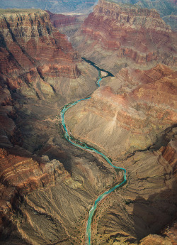 intothegreatunknown:  Colorado River from above | Arizona, USA 