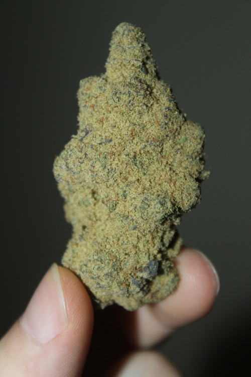 purloiner:  TLC Gold Animal Cookies covered with White Fire dry sift.