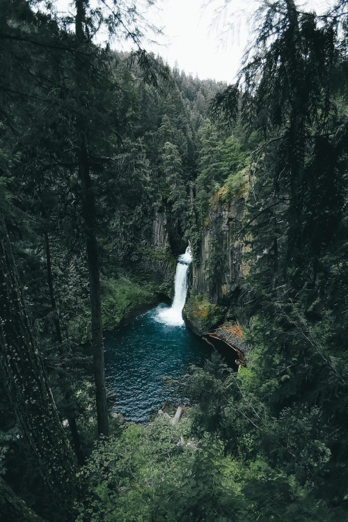 banshy:  Untitled // Dylan Furst 
