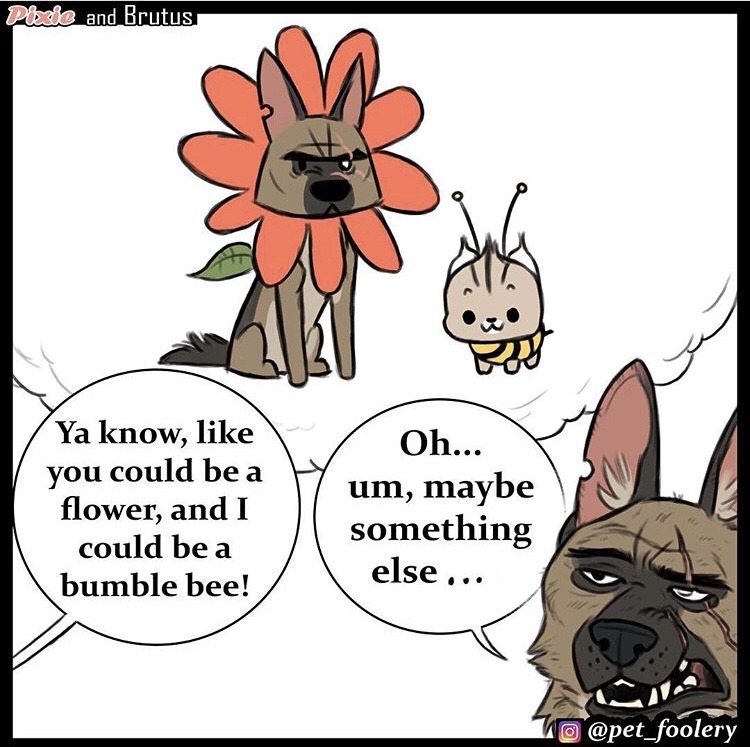 littleprincessfullawuv:  catchymemes:  New Pixie and Brutus comic @pet_foolery  I