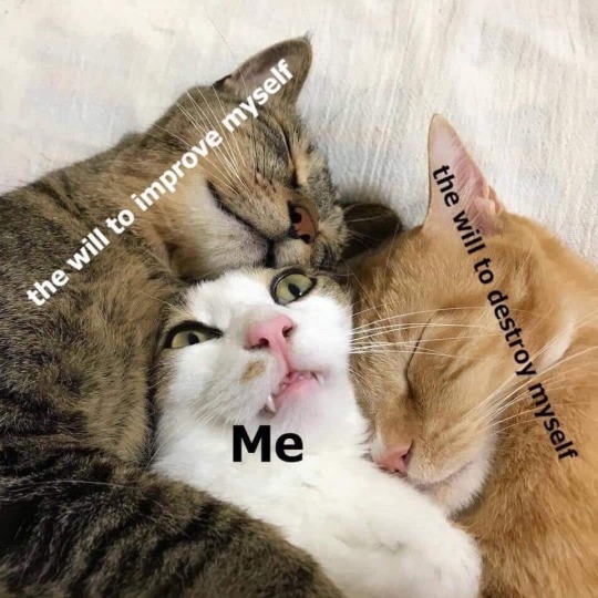 talesandthoughtsfromreality:  dankmemeuniversity:   Me. 