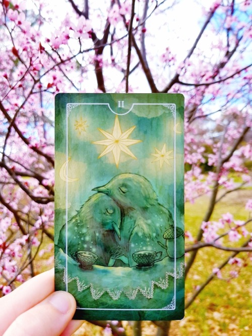 divination-and-dogs: Ostara Tarot + Flowers