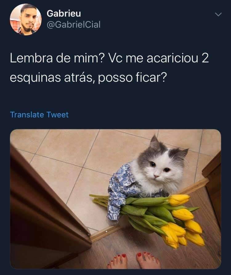 Memes Sugadores de Mentes  Memes, Musicas sobre amor, Memes