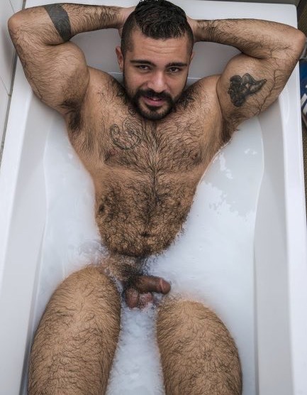 txfurlover:  TXFurLover - for the love of fur in TX… Feel free to Share the fur!