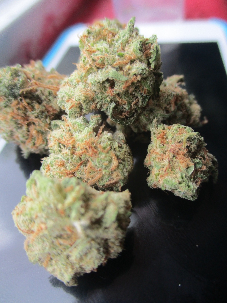 chloechronic:  jack 😋