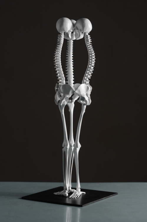 myampgoesto11: Skeletal sculptures by Monika Horčicová My Amp Goes To 11: Twitter |