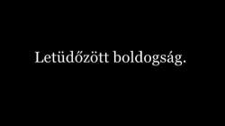 Everyday a small piece of you dies..