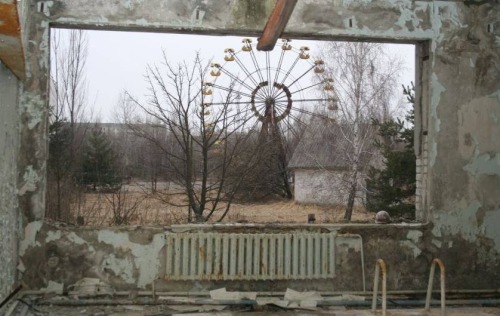 mossful:  Haunting Images of Chernobyl, 28 Years Later 