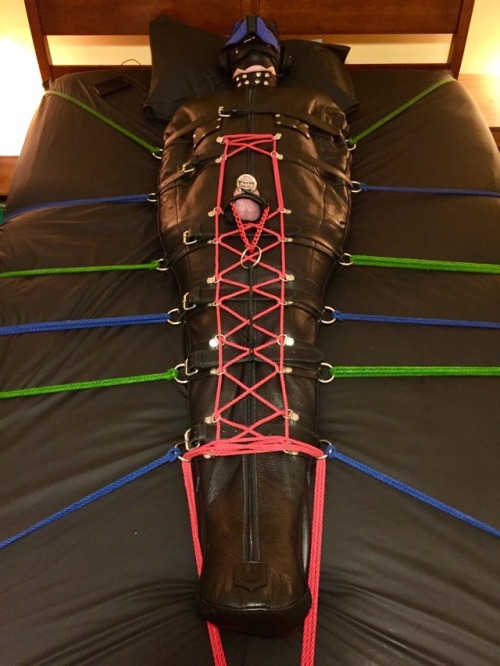 feelingknottycda: PupCole is headed back home today, but we had a lot of fun this weekend. Particularly when, after five weeks of chastity, I got him into my sleepsack, gagged and blindfolded, with a special pup programming track made just for him. I