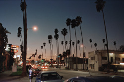 davetada:  Sunset Blvd Hollywood, CA