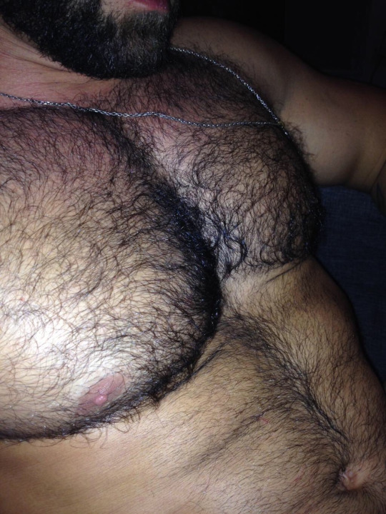 stratisxx:  Another hot Arab daddy… The masculine face ✔  the big hairy daddy