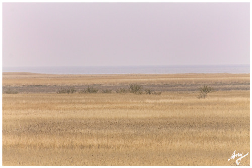 Wadden Sea near #Bremerhaven follow me on facebook