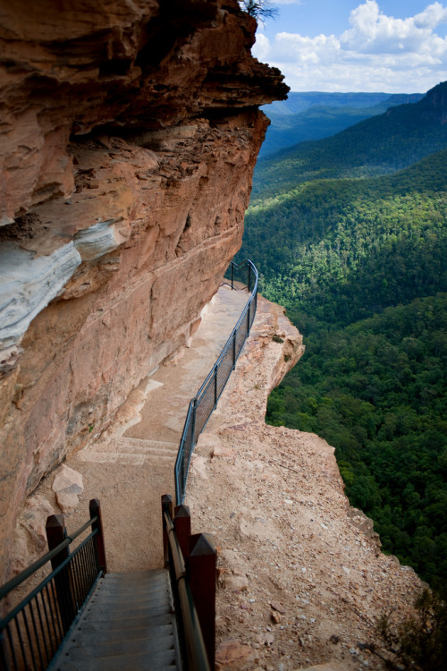 brutalgeneration:  Blue Mountains (by dtedesco) 