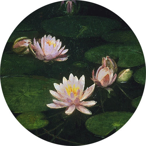 detailsdetales:Water Lilies (1884)Abbott Handerson Thayer