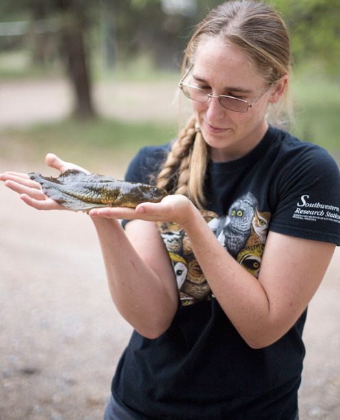 tractorgoth: typhlonectes:  The Giant Tadpole That Never Got Its Legs  By Katie L. Burke  A record-b