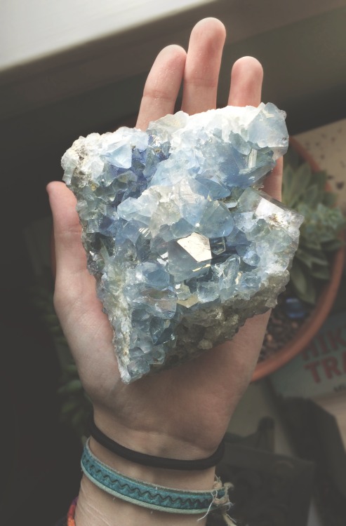 tuaari:  my beautiful celestite cluster <3