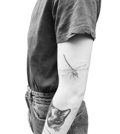 Done @heartofoaktattoo . . . . . #dragonfly #handpoke #tattoo #stickandpoke #handpoketattoo #machine