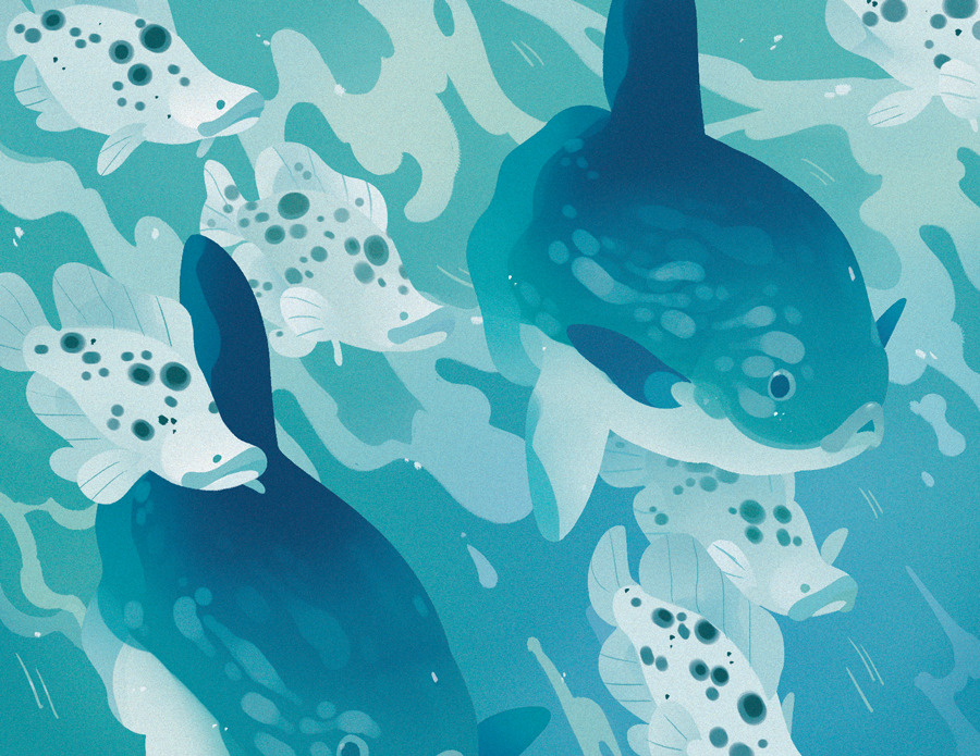 citrusfoam:Spot Crew