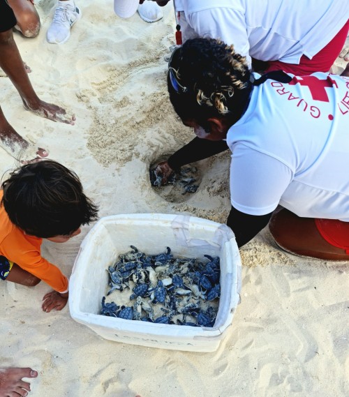 Cancun, Mxico 