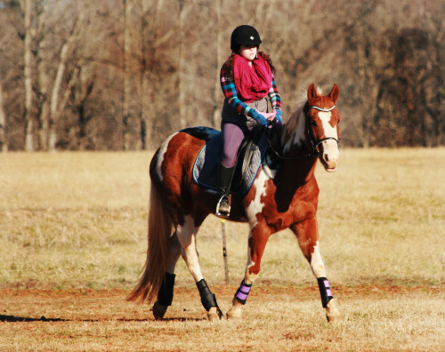 ridingfury: ridingfury:One of my favorite things about him: how expressive he is with his little fac