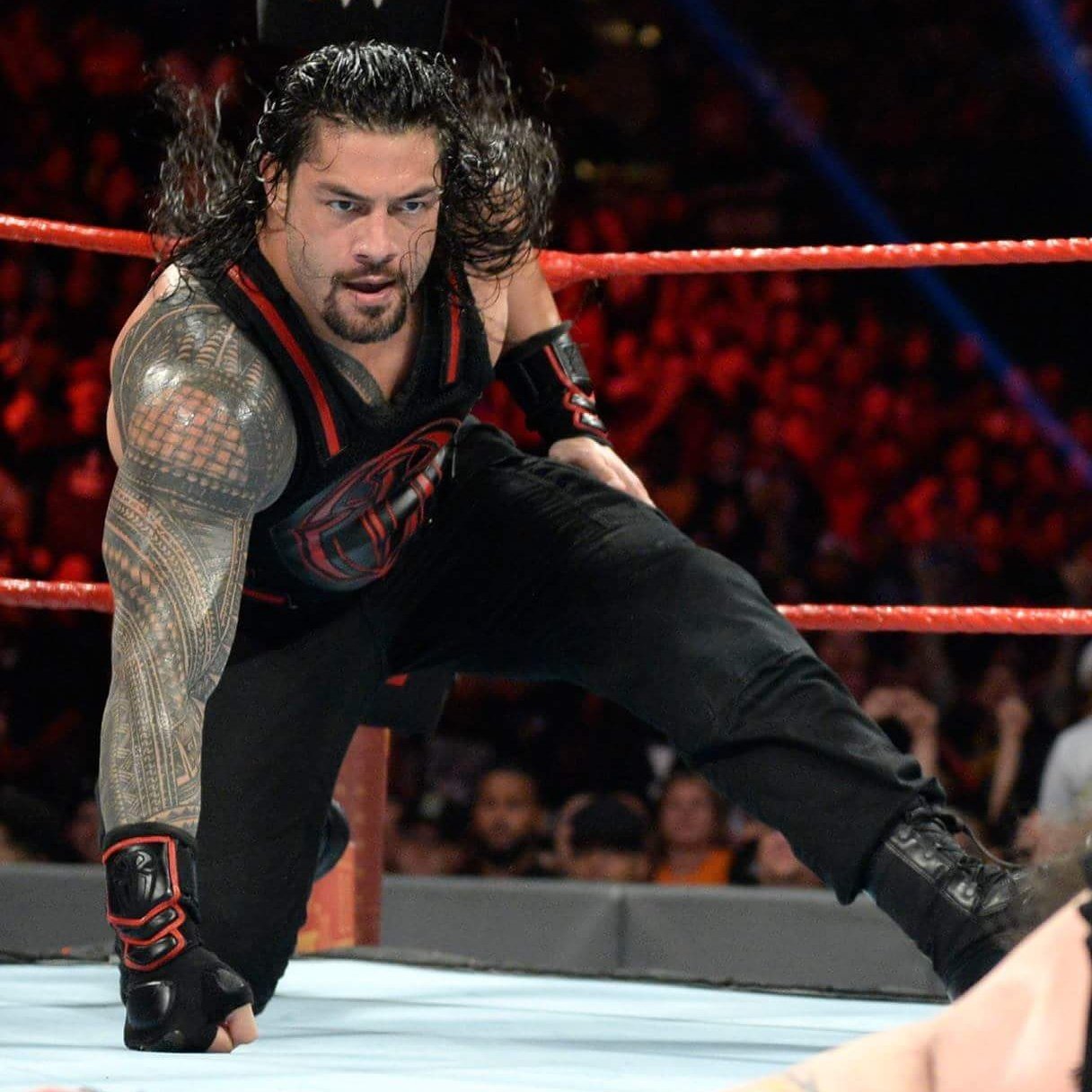 melinda-january:  Never underestimate the Big Dog! 💪😍😘👑  ( Credit: Roman